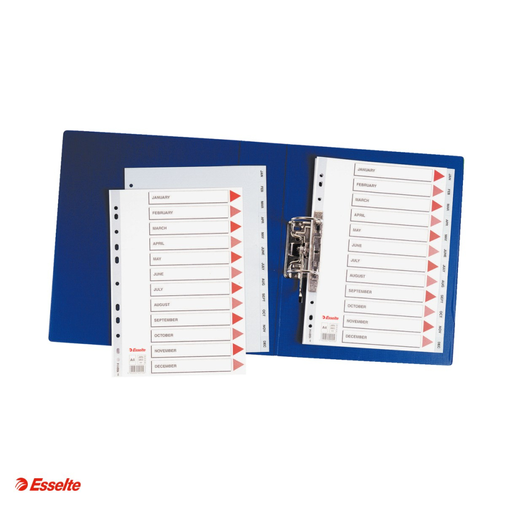 Index Esselte, plastic, A4, Ianuarie-Decembrie, pentru arhivare, gri [4]