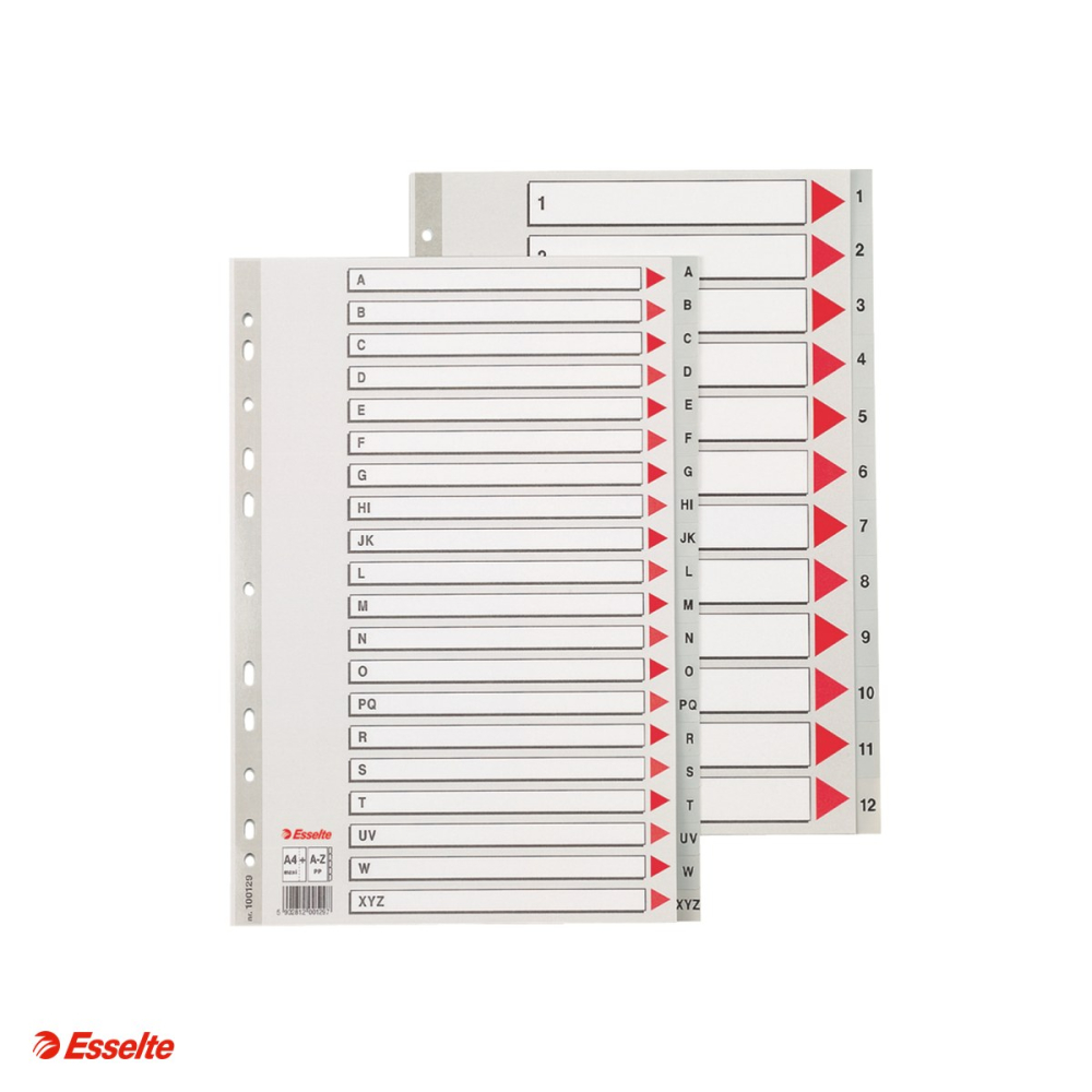 Index Esselte, plastic, A4 MAXI, A-Z, pentru arhivare, gri [4]