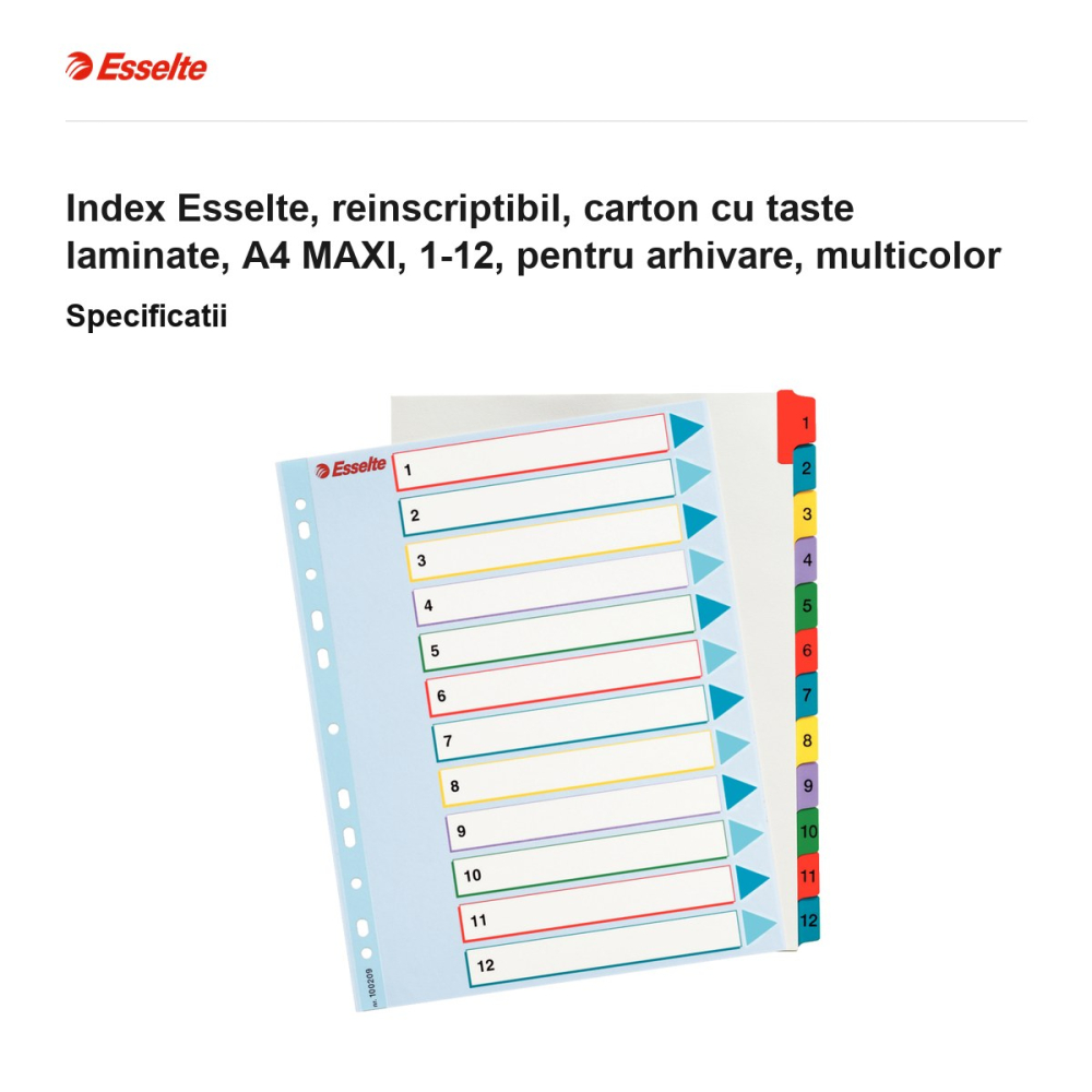 Index Esselte, reinscriptibil, carton cu taste laminate, A4 MAXI, 1-12, pentru arhivare, multicolor [3]