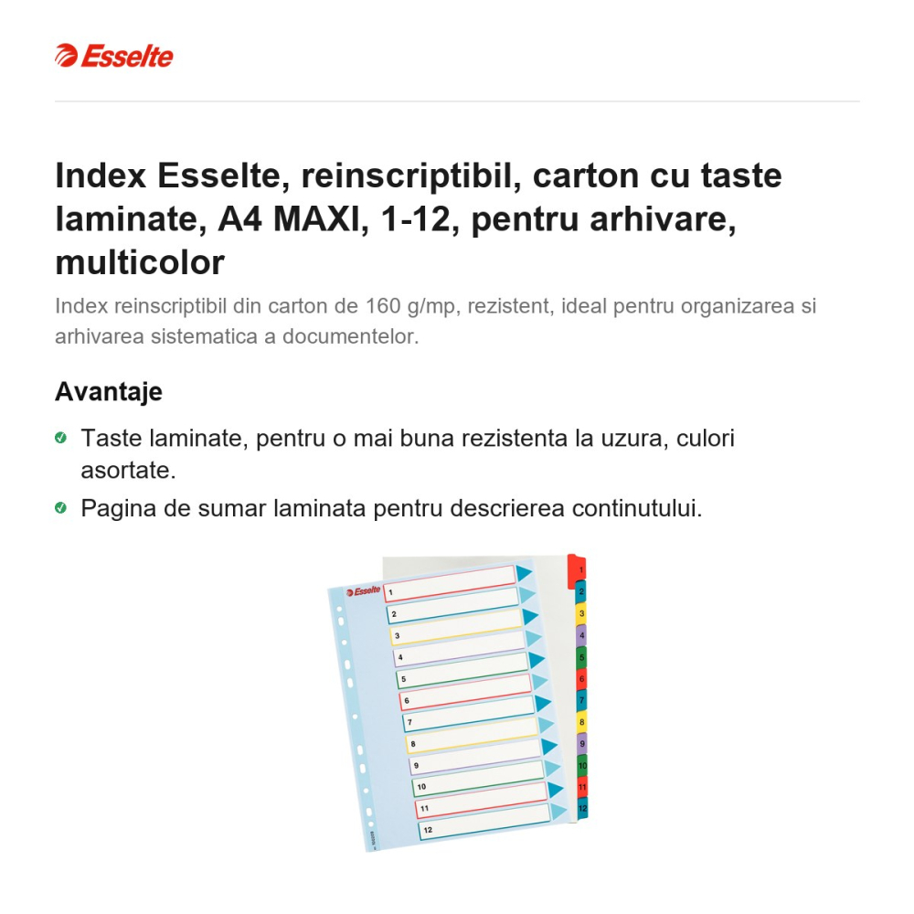 Index Esselte, reinscriptibil, carton cu taste laminate, A4 MAXI, 1-12, pentru arhivare, multicolor [2]