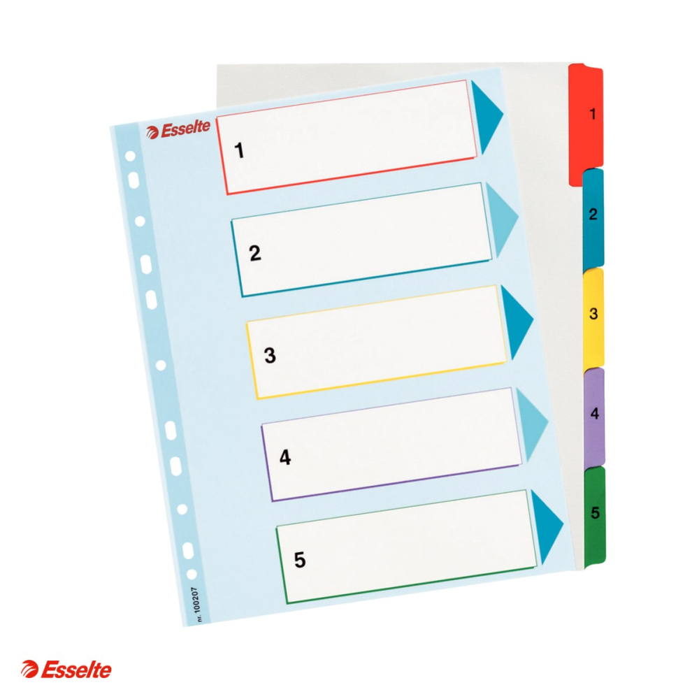 Index Esselte, reinscriptibil, carton cu taste laminate, A4 MAXI, 1-5, pentru arhivare, multicolor [4]