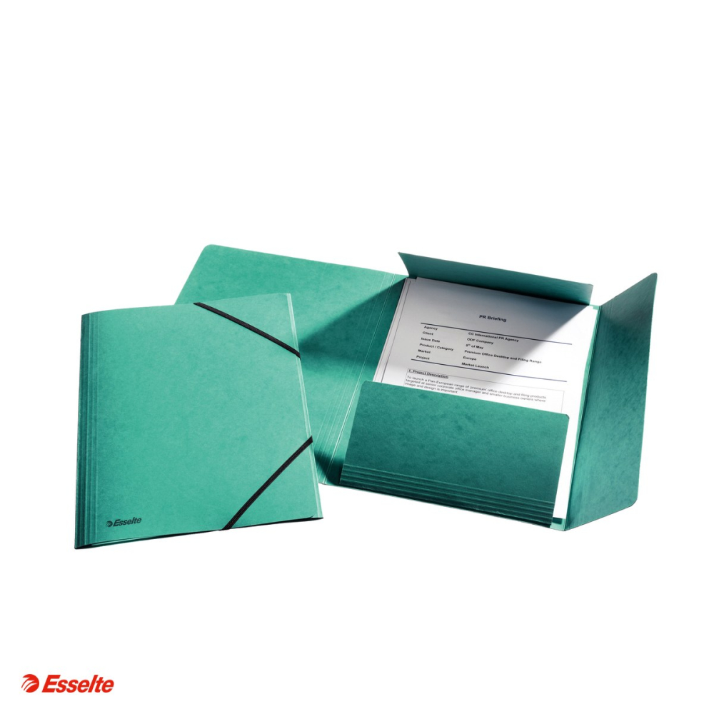 Mapa cu elastic Esselte Rainbow, carton, A4, verde [4]
