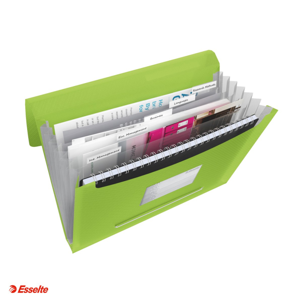 Mapa tip proiect Esselte VIVIDA, PP, A4, capacitate 300 coli, pentru transport, verde [4]