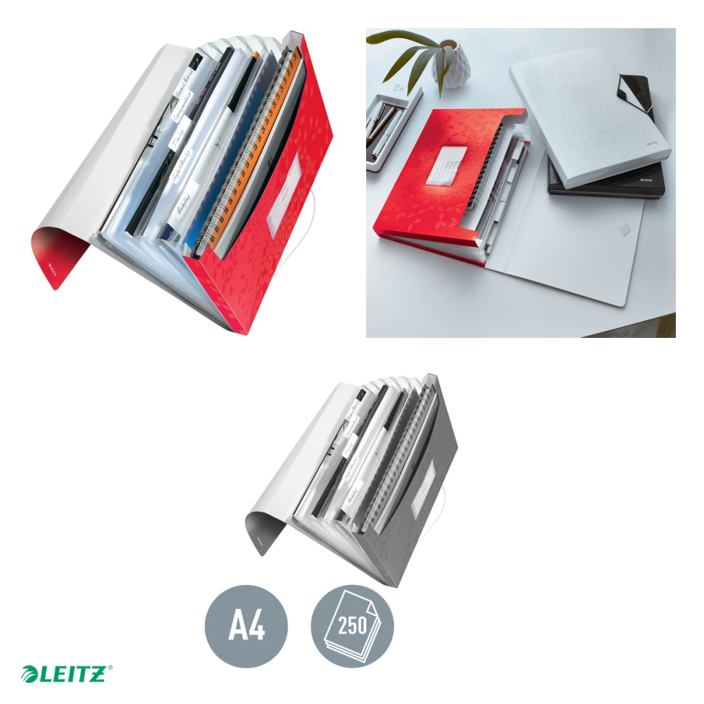 Mapa tip proiect Leitz WOW, PP, A4, capacitate 250 coli, pentru transport, rosu [5]