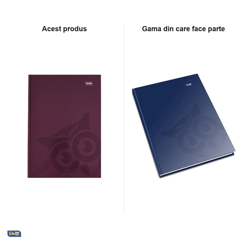 Registru Educa A4, 96 file, matematica, 60 g/mp, coperta monocrom, 210x297 mm [5]