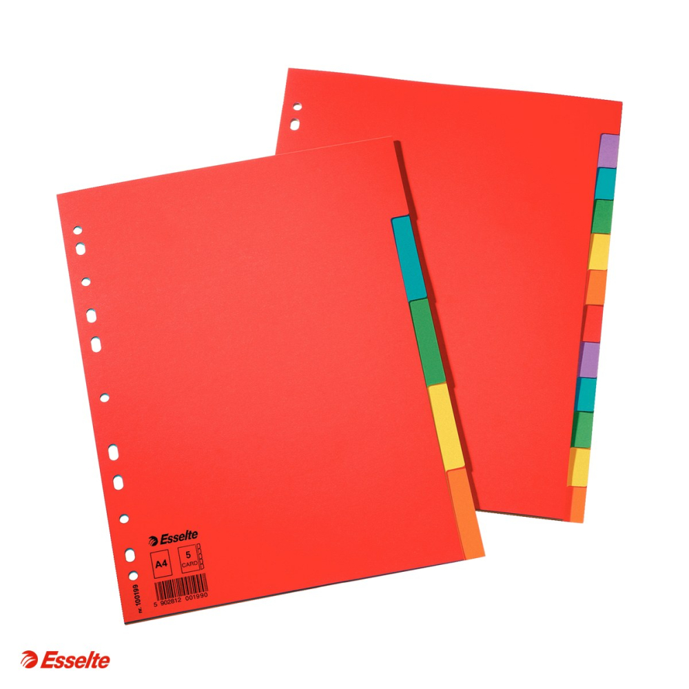 Separatoare Esselte, carton, A4, 5 taste, fara sumar, pentru arhivare, multicolor [4]