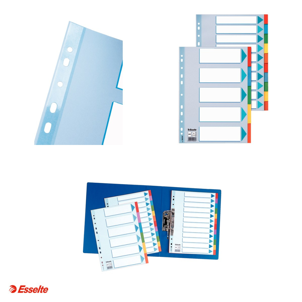 Separatoare Esselte, carton, A4, 5 taste, pentru arhivare, multicolor [4]