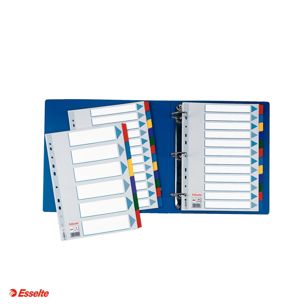 Separatoare Esselte Mylar, carton cu taste laminate, A4, 6 taste, pentru arhivare, multicolor [4]