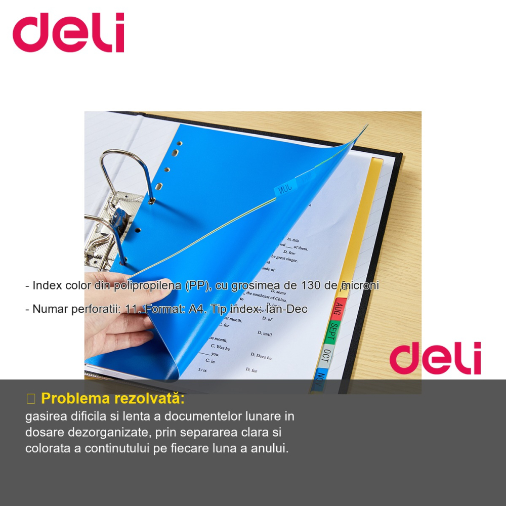 Separatoare index lunar Ian-Dec Deli, plastic polipropilena A4, 11 perforatii, pentru organizare dosare [2]