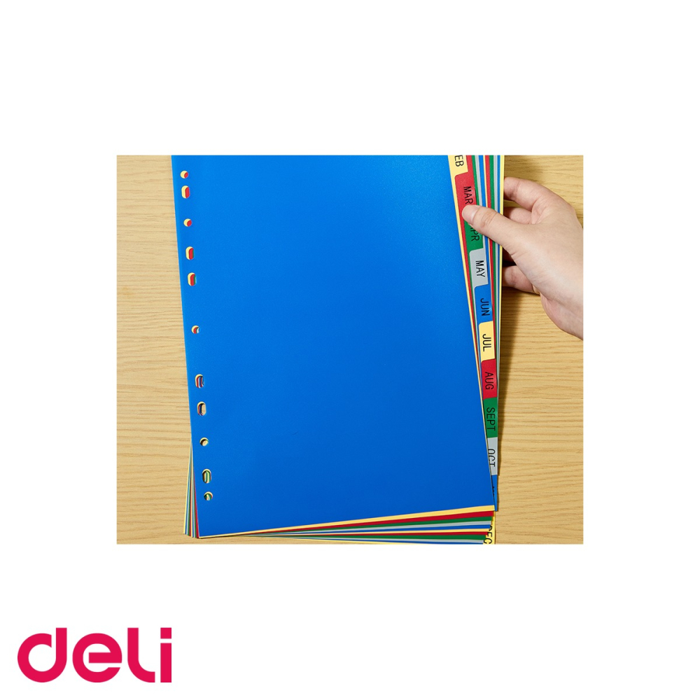 Separatoare index lunar Ian-Dec Deli, plastic polipropilena A4, 11 perforatii, pentru organizare dosare [4]