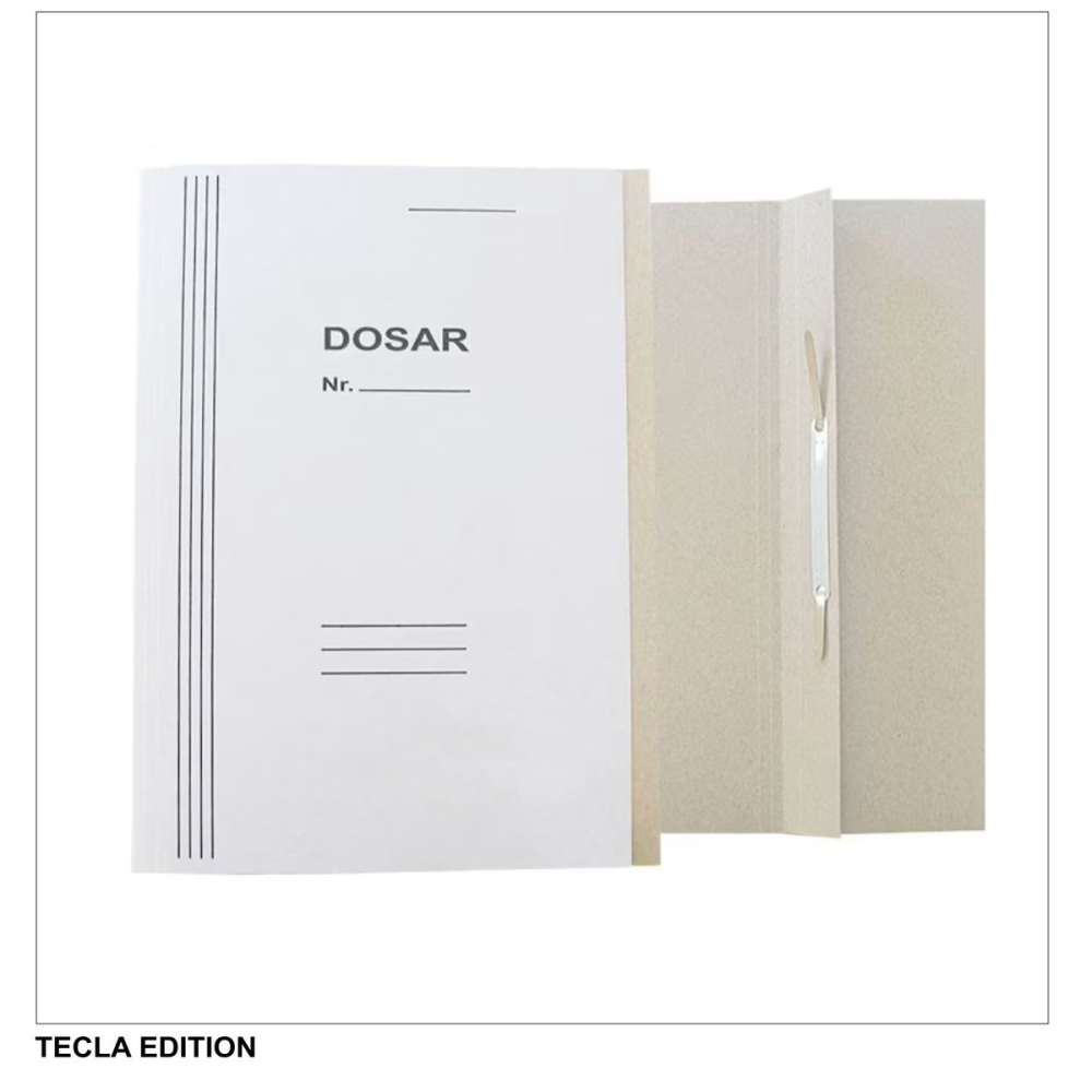 Set 10 dosare carton cu sina Tecla Edition, format A4, carton duplex 225 g/mp, pentru organizare si arhivare [3]