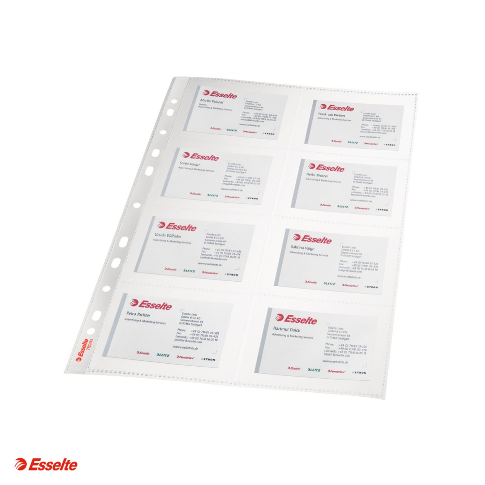 Set 10 folii de protectie Esselte, PP, A4, pentru carti de vizita, 105 microni, cristal, pentru arhivare, incolor [4]