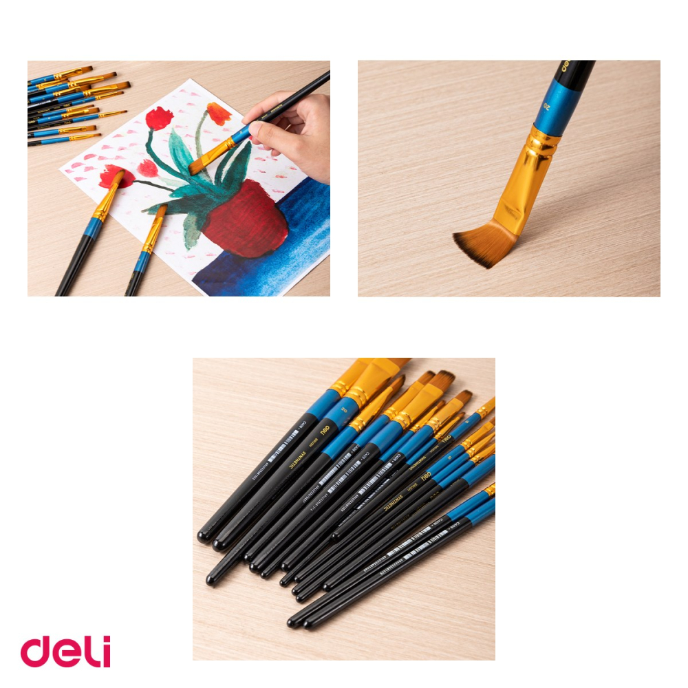 Set 10 pensule Deli, cu varf tesit, no 1 [4]