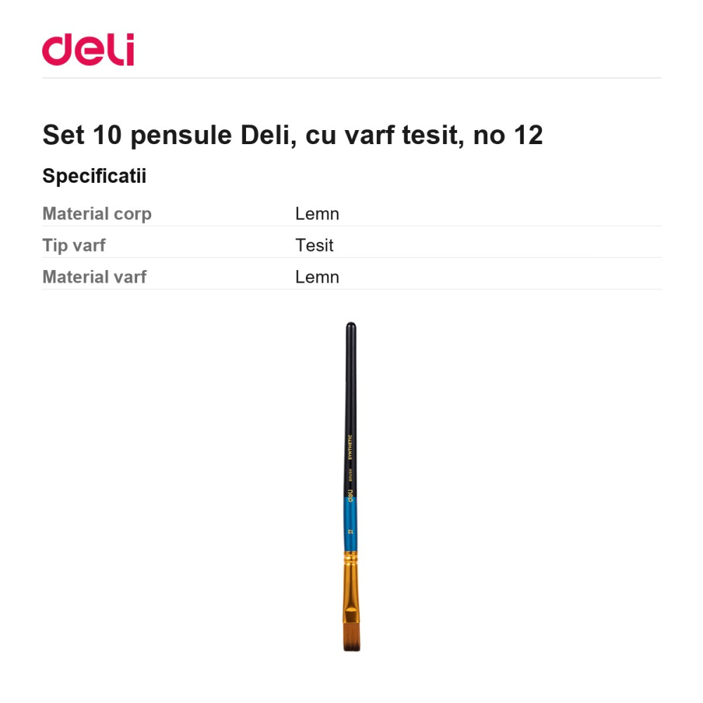 Set 10 pensule Deli, cu varf tesit, no 12 [3]