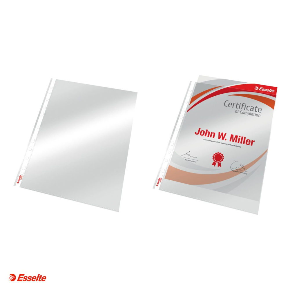 Set 100 folii de protectie Esselte, PP, A4, 105 microni, cristal, pentru arhivare, incolor [4]