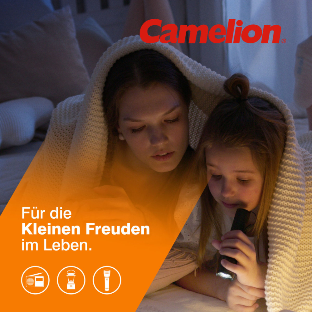 Set 2 Acumulatori C (R14) Reincarcabili Camelion Ni-MH 3500mAh, Capacitate Extrem de Mare, Pentru Jucarii Puternice, Aparate Foto, Echipamente Profesionale, Blister [4]