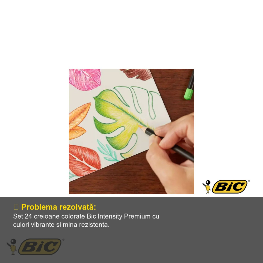 Set 24 creioane colorate Bic Intensity Premium, corp triunghiular ergonomic, pentru adulti si copii [4]