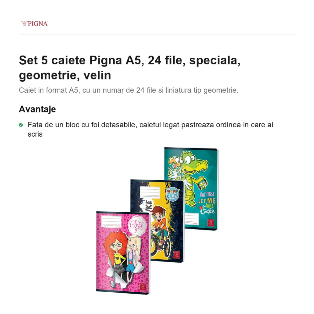 Set 5 caiete Pigna A5, 24 file, geometrie, velin [2]