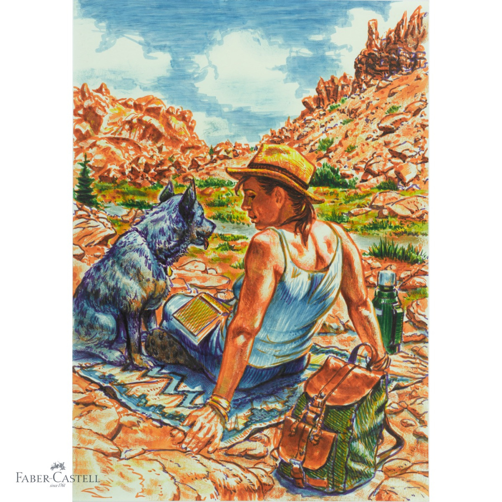 Set 6 markere Pitt Artist Pen Faber-Castell, varf pensula, culori vara 2022, pentru desen si ilustratie [4]