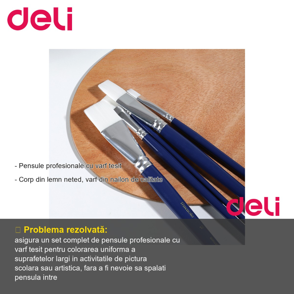 Set 6 pensule profesionale Deli, varf tesit nr.10, par nailon, pentru desen si pictura [2]
