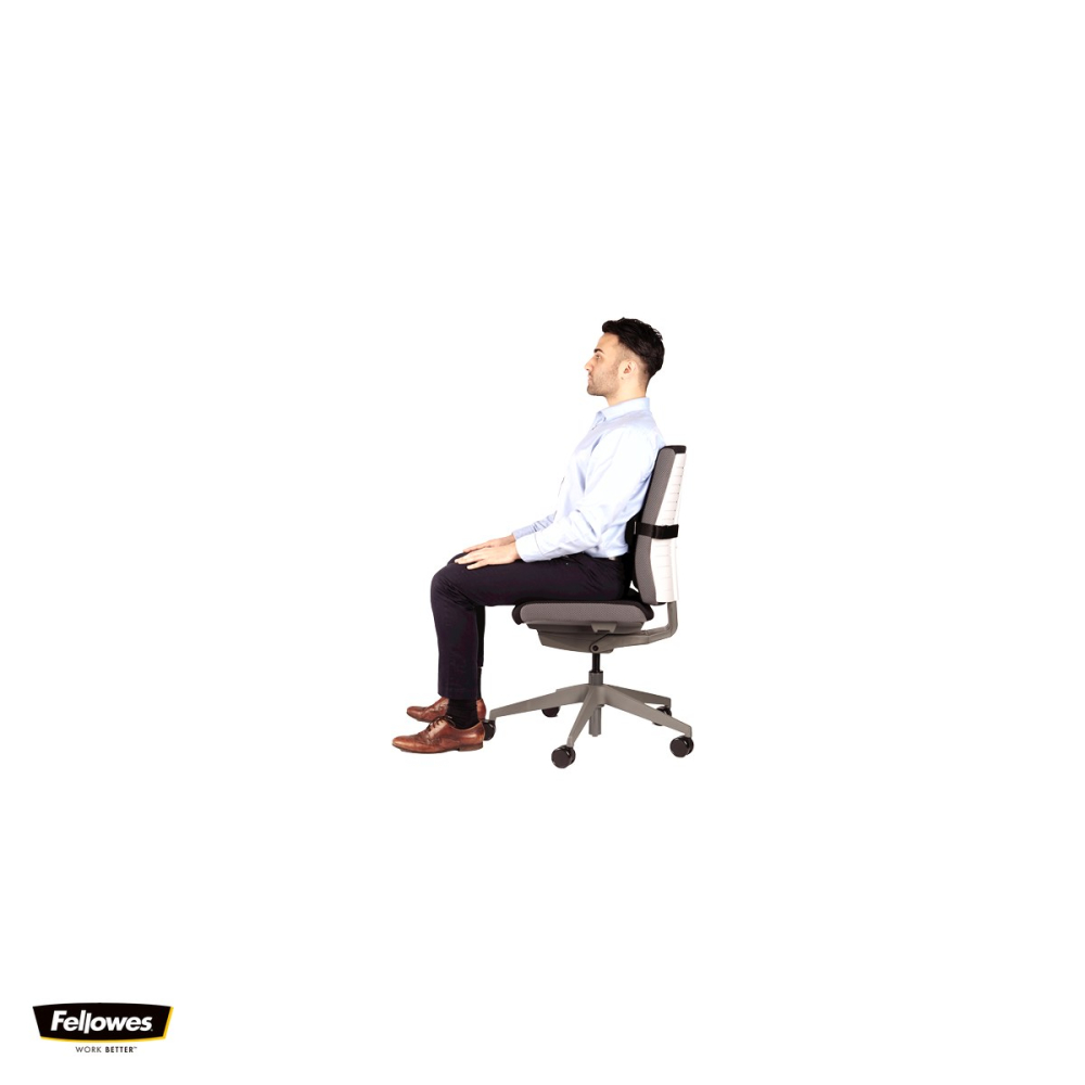 Suport ergonomic pentru spate Fellowes I-Spire, cu perna din spuma si plasa, curea reglabila, negru [5]