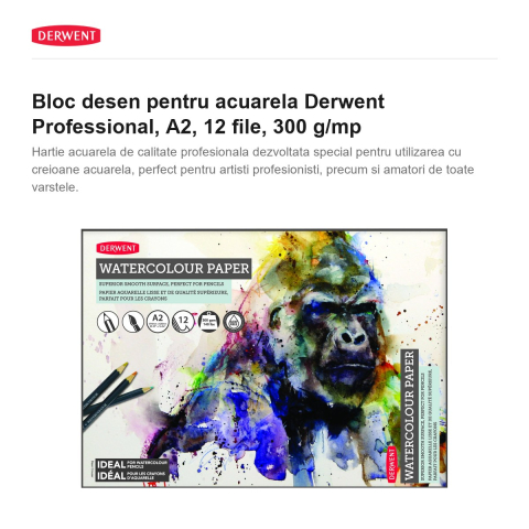 Bloc desen pentru acuarela Derwent Professional, A2, 12 file, 300 g/mp [1]