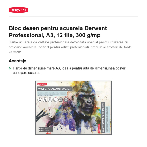 Bloc desen pentru acuarela Derwent Professional, A3, 12 file, 300 g/mp [1]