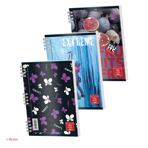 Caiete A5 - Caiet Pigna A5 Aritmetica Color, 50 file, matematica, 60 g/mp, spira