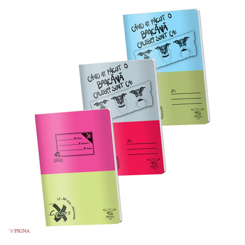 Caiete A5 - Caiet Pigna Basic, A5, 80 file, dictando