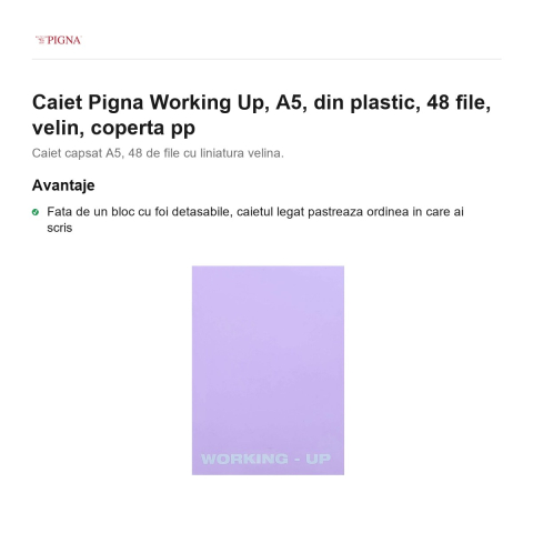 Caiet Pigna Working Up, A5, din plastic, 48 file, velin, coperta pp [1]