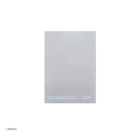 Caiet Pigna Working Up, A5, din plastic, 48 file, velin, coperta pp [4]