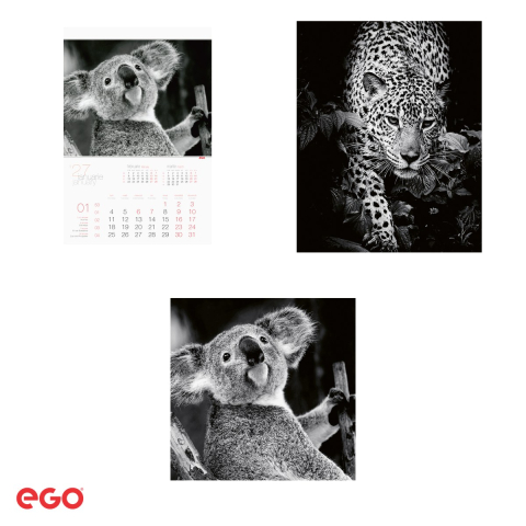Calendar de perete Ego Animale, 13 file, 31.4x46 cm, cu spira metalica [3]
