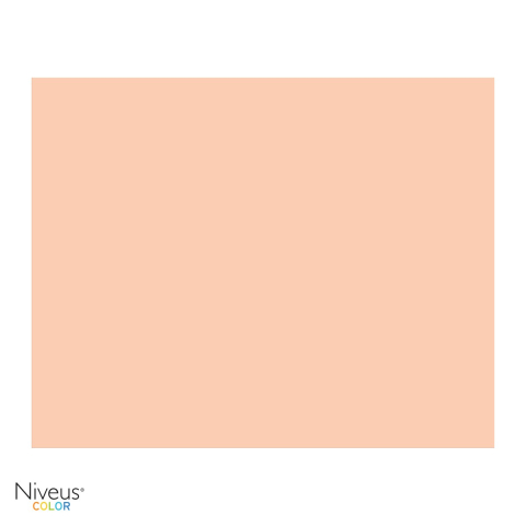 Carton copiator Niveus SA24 A4, somon pal, 160 g/mp, 250 coli [3]