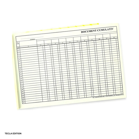 Formulare tipizate - Document cumulativ orizontal, A4, 100 file
