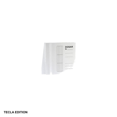 Dosare carton - Set 10 dosare carton cu sina Tecla Edition, format A4, carton duplex 225 g/mp, pentru organizare si arhivare