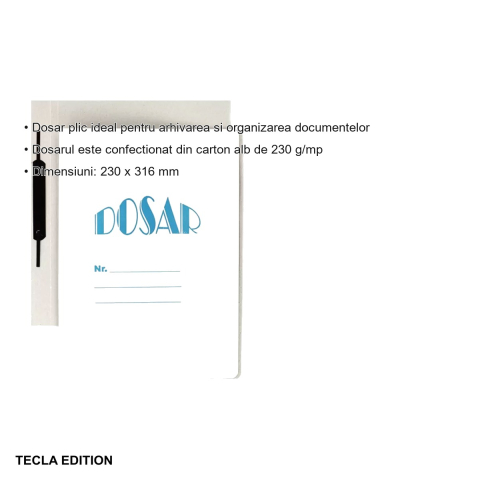 Set 10 dosare carton cu sina Tecla Edition Gold, pentru arhivare si organizare documente A4 [2]