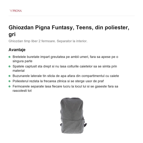 Ghiozdan Pigna Funtasy, din poliester, teens, gri [1]