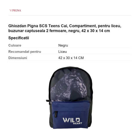 Ghiozdan Pigna SCS Teens Cai, pentru liceu, compartiment buzunar captuseala 2 fermoare, negru, 42 x 30 x 14 cm [2]