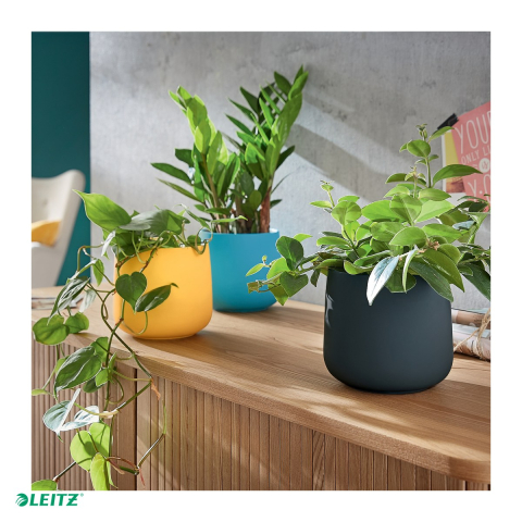 Ghiveci pentru plante si suport pentru articole de birou Leitz Cosy, din ceramica, 130 x 143 x 143 mm, gri antracit [4]