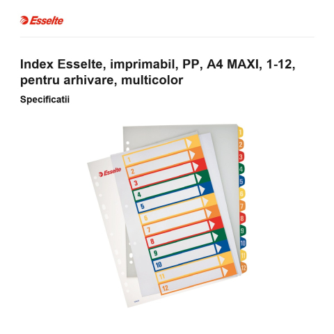 Index Esselte, imprimabil, PP, A4 MAXI, 1-12, pentru arhivare, multicolor [2]