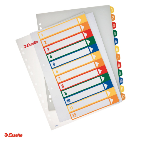 Indecsi si separatoare pentru dosare - Index Esselte, imprimabil, PP, A4 MAXI, 1-12, pentru arhivare, multicolor