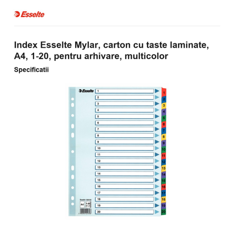 Index Esselte Mylar, carton cu taste laminate, A4, 1-20, pentru arhivare, multicolor [2]
