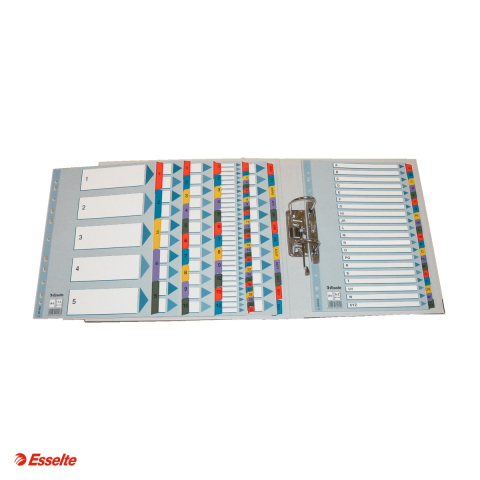 Index Esselte Mylar, carton cu taste laminate, A4, 1-5, pentru arhivare, multicolor [3]