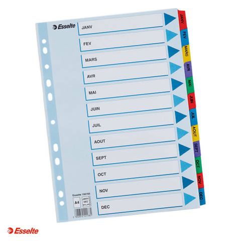 Indecsi si separatoare pentru dosare - Index Esselte Mylar, carton cu taste laminate, A4, Ianuarie-Decembrie, pentru arhivare, multicolor