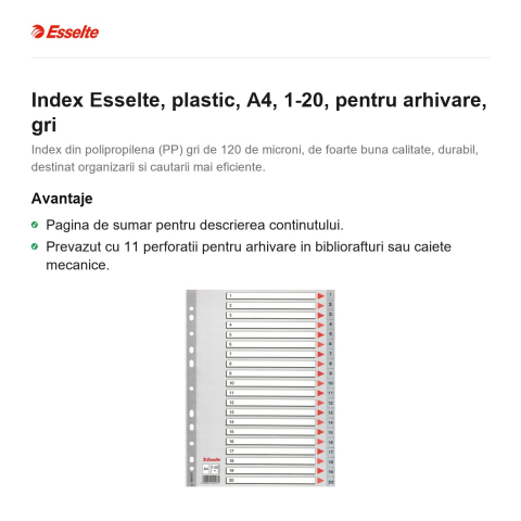 Index Esselte, plastic, A4, 1-20, pentru arhivare, gri [1]