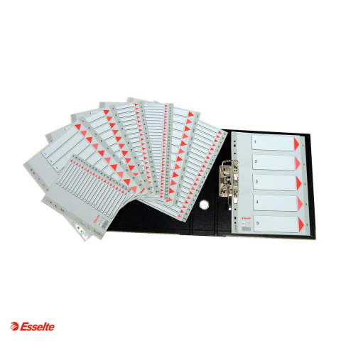 Index Esselte, plastic, A4, 1-5, pentru arhivare, gri [3]