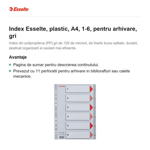 Index Esselte, plastic, A4, 1-6, pentru arhivare, gri [1]