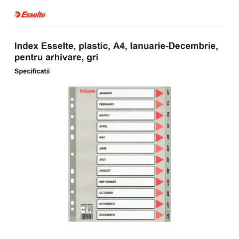Index Esselte, plastic, A4, Ianuarie-Decembrie, pentru arhivare, gri [2]