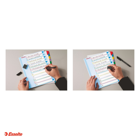 Index Esselte, reinscriptibil, carton cu taste laminate, A4 MAXI, 1-12, pentru arhivare, multicolor [3]