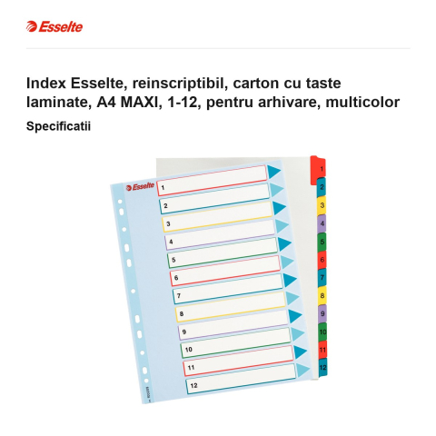 Index Esselte, reinscriptibil, carton cu taste laminate, A4 MAXI, 1-12, pentru arhivare, multicolor [2]
